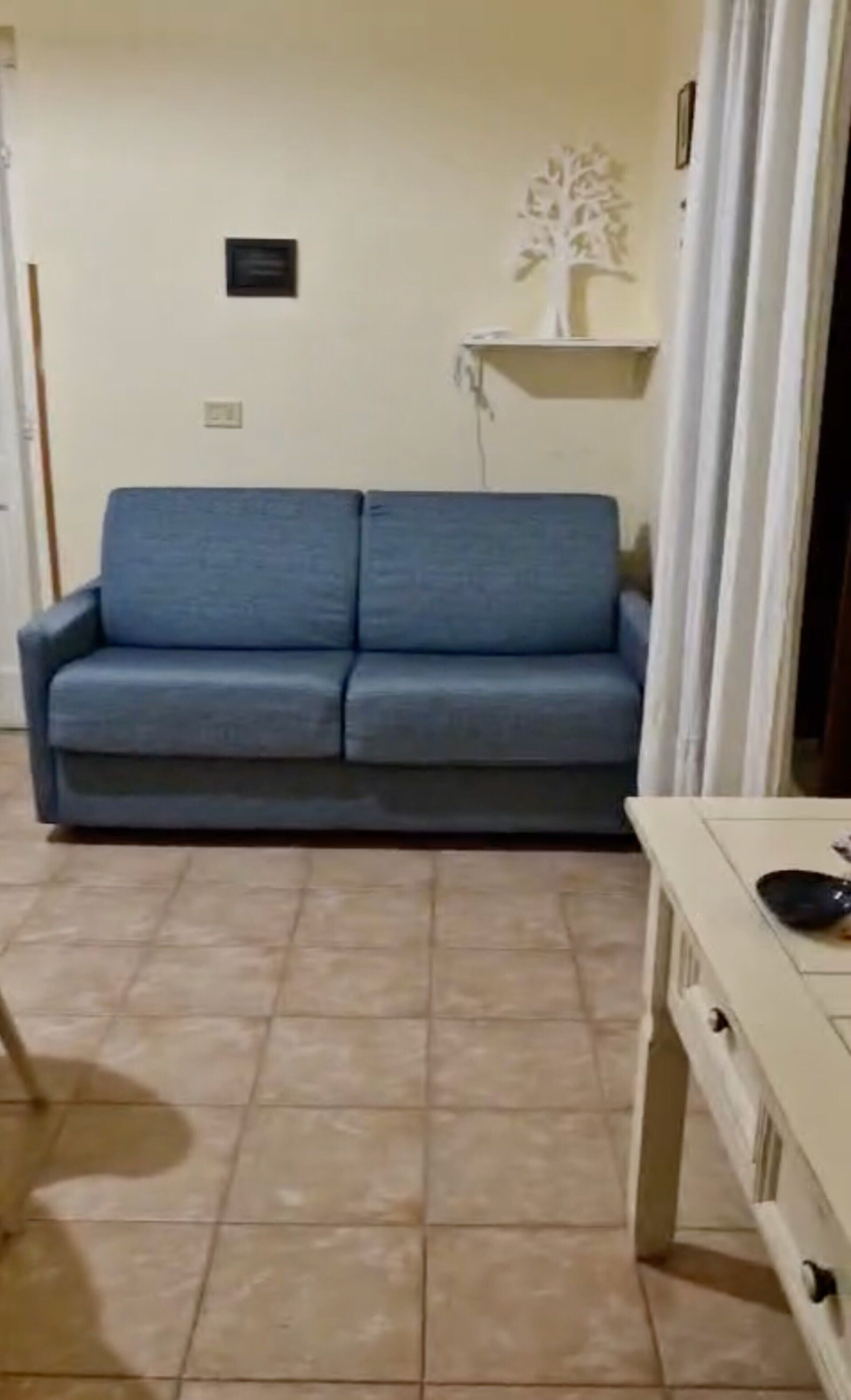TV