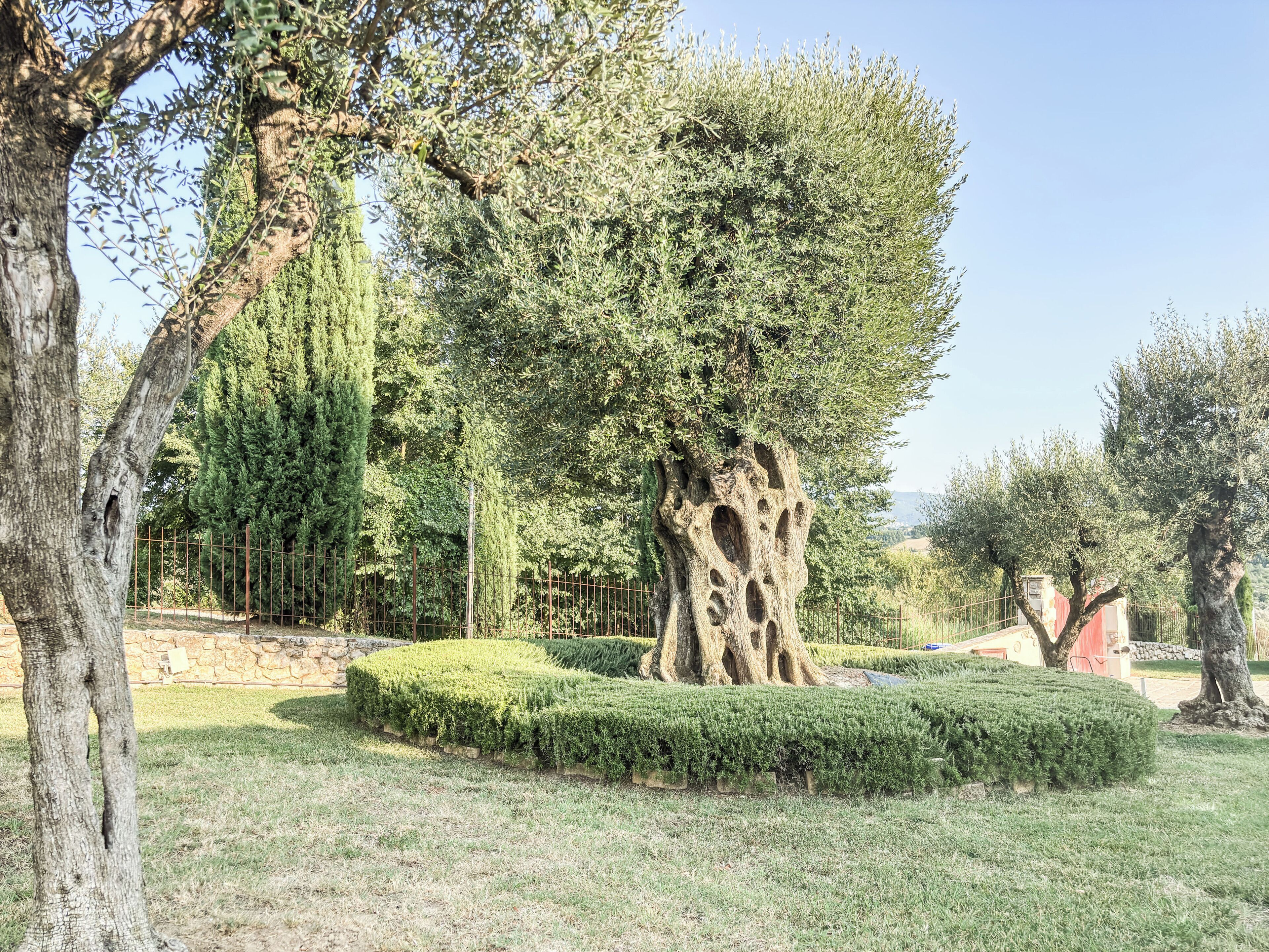 Apartment, Terrasse, Gartenblick | Unterkunftsgelände