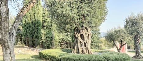 Apartment, Terrasse, Gartenblick | Unterkunftsgelände
