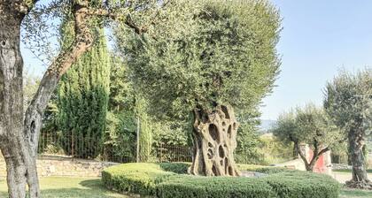 Casale G&C