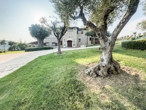 Departamento, patio, vista al jardín | Exterior