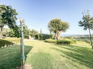 Departamento, patio, vista al jardín | Áreas de la propiedad