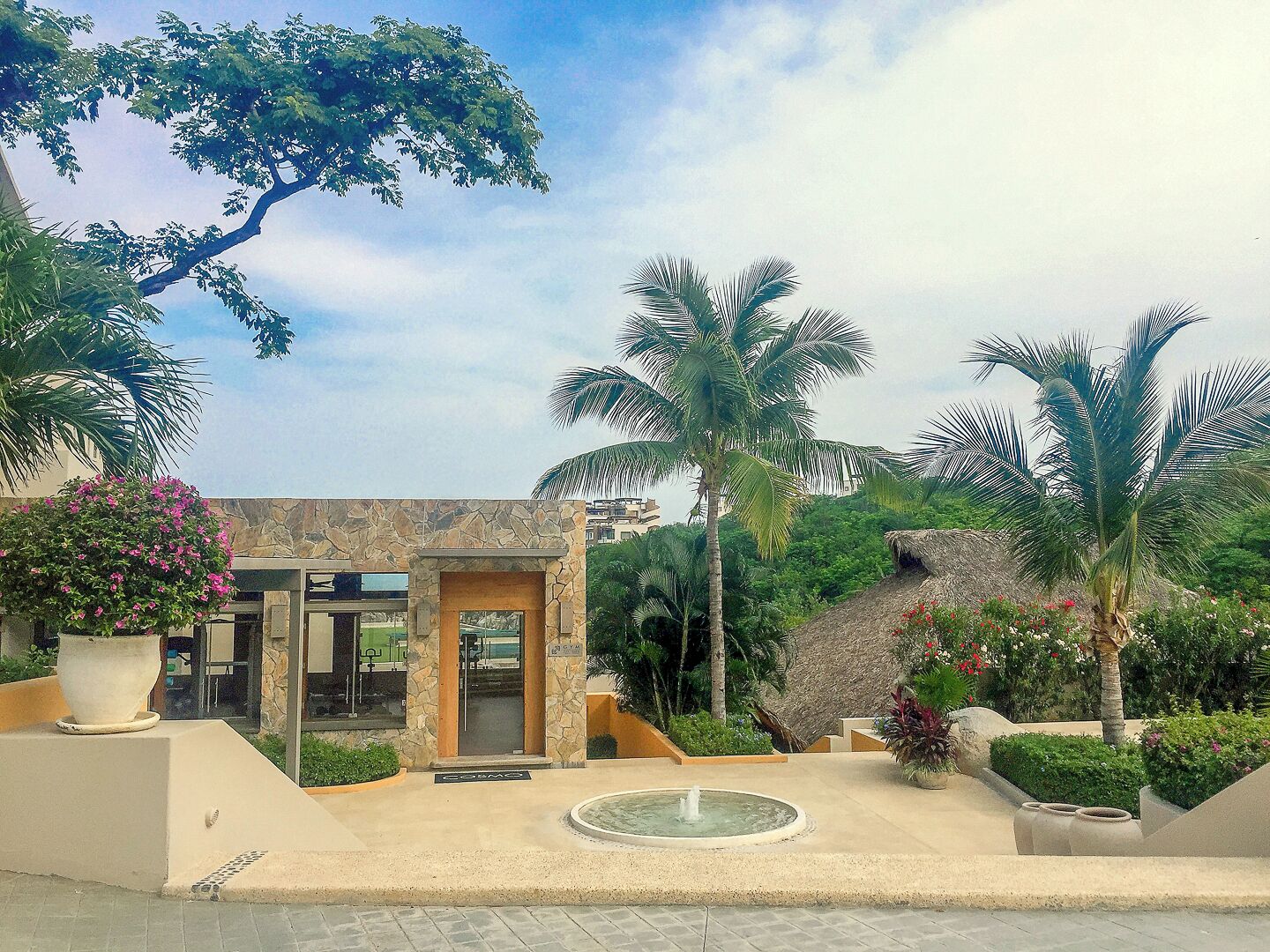 A building with a stone facade, a palm tree, and a fountain in the foreground.