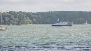 Un ferry con pasajeros, rodeado de aguas tranquilas y una ribera boscosa.