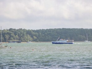 A ferry with passengers, surrounded by calm water and a forested shoreline. - Glass House (Blandford Forum)