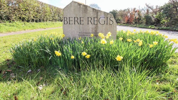 Un letrero de piedra con 'BERE REGIS' y una inscripción conmemorativa, rodeado de narcisos y pasto.