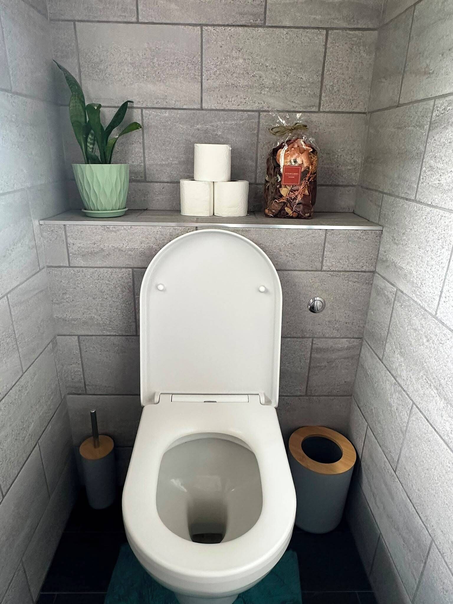 A bathroom with a toilet, a potted plant, toilet paper, and a trash bin.