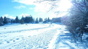 A snowy landscape with trees and a clear sky.
