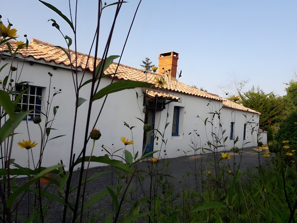 Detalle exterior