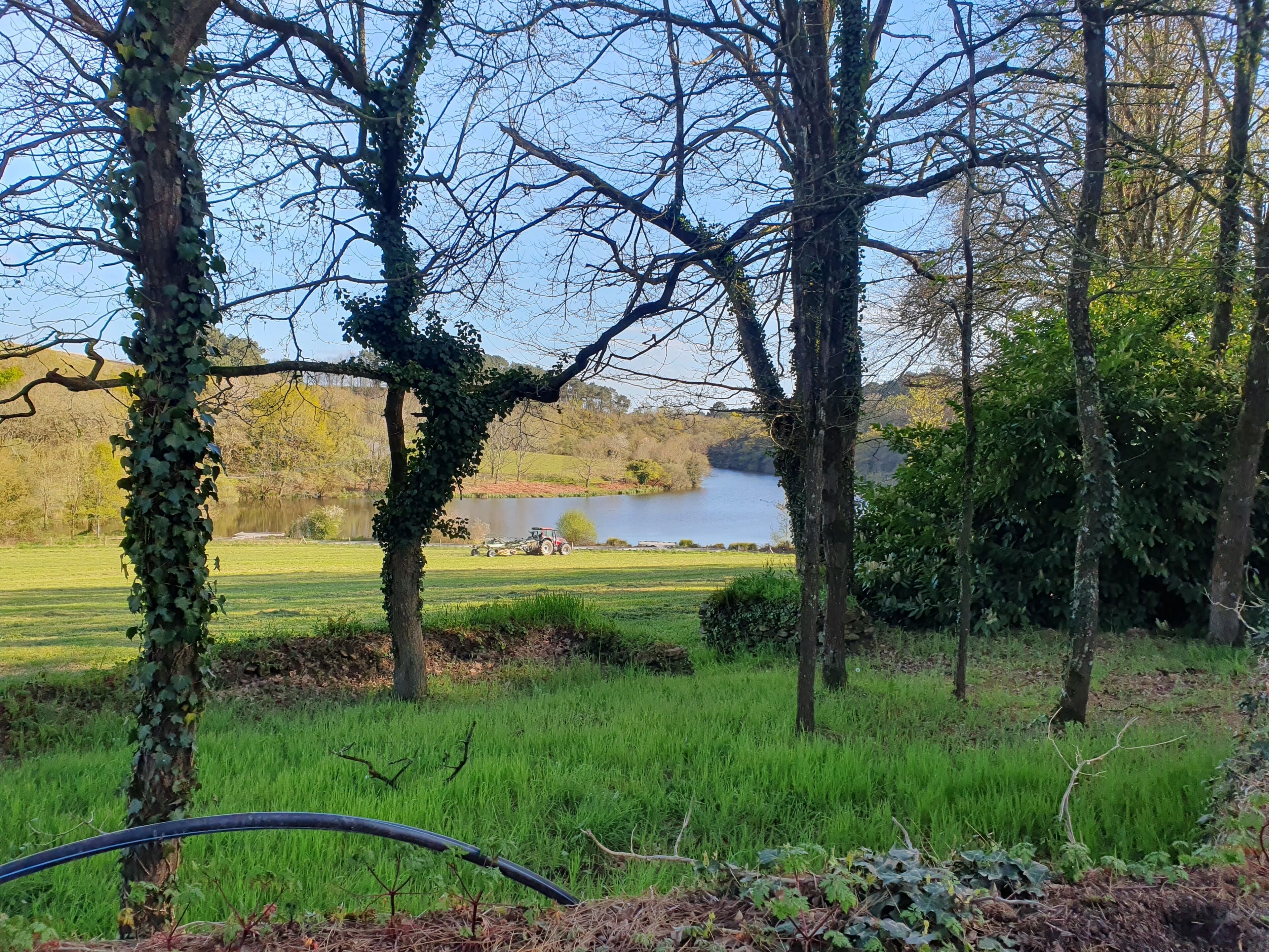 A natural landscape with a lake, trees, and a tractor in the distance.