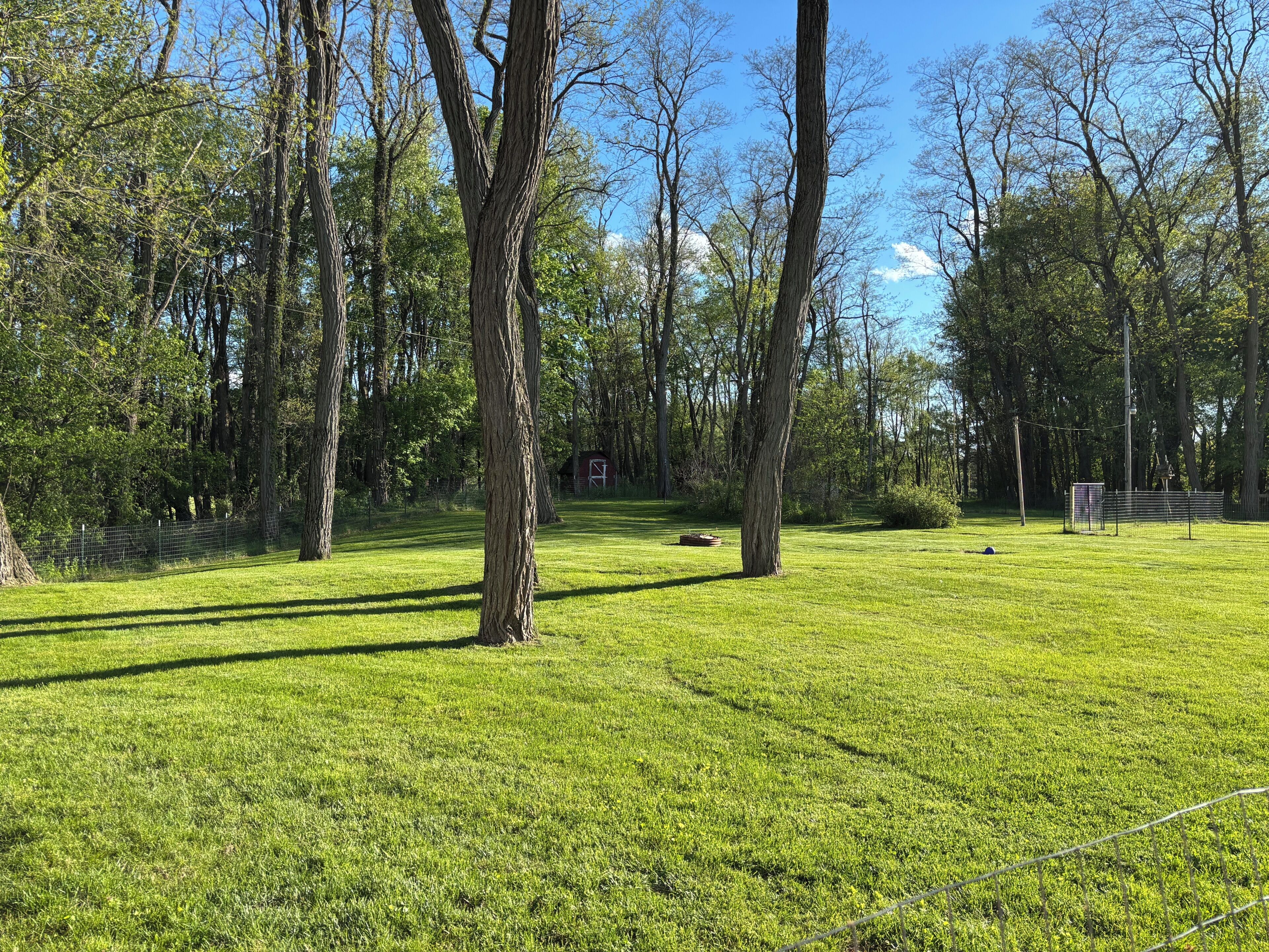 Un champ herbeux avec des arbres et une zone délimitée par une clôture.