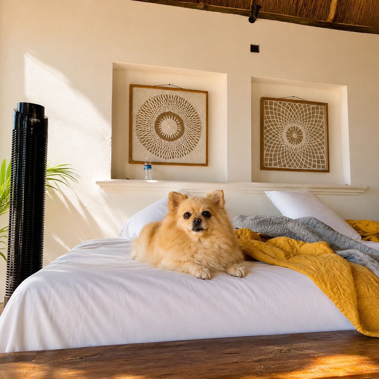 Standard Cabin, Beach View | Blackout drapes, WiFi (free)