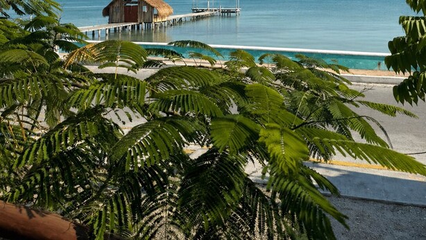 A beachside view with a thatched-roof structure connected to a pier extending into the ocean. - Mytos By Grupo Chulel (Isla Aguada)