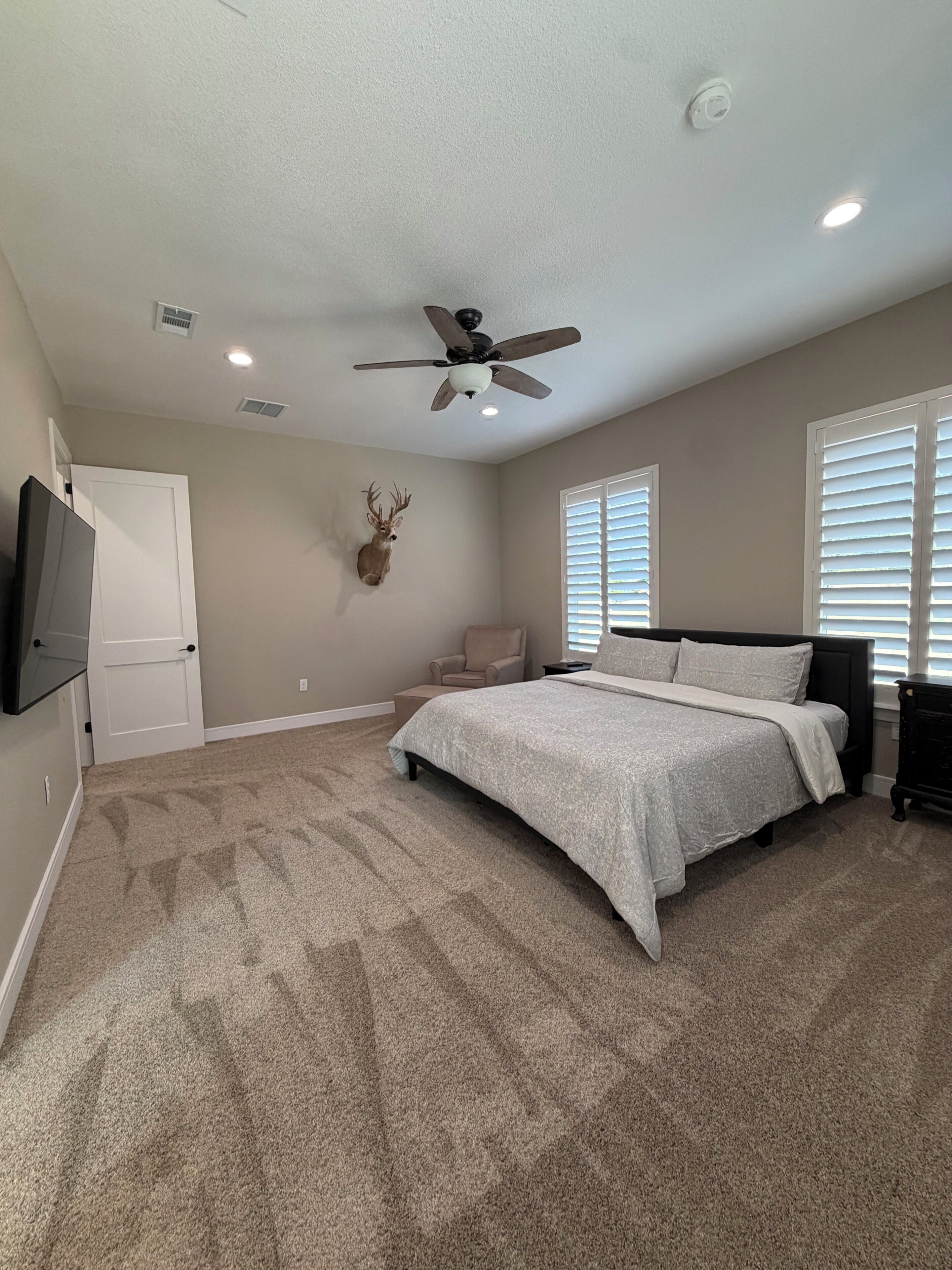 A bedroom with a bed, a ceiling fan, a mounted deer head, a chair, and a television.