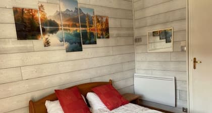 Beautiful apartment, 1st floor, 4 bedrooms, 100 meters from the ESF, slopes, lifts, and shops
