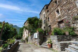 Ein Steinhaus mit einer Treppe, die zu einer Tür führt, umgeben von Grünpflanzen und Topfpflanzen.