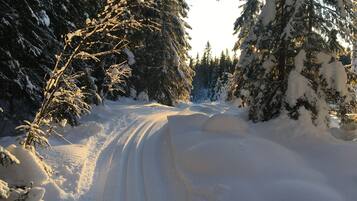 A snow-covered forest path with trees on either side.