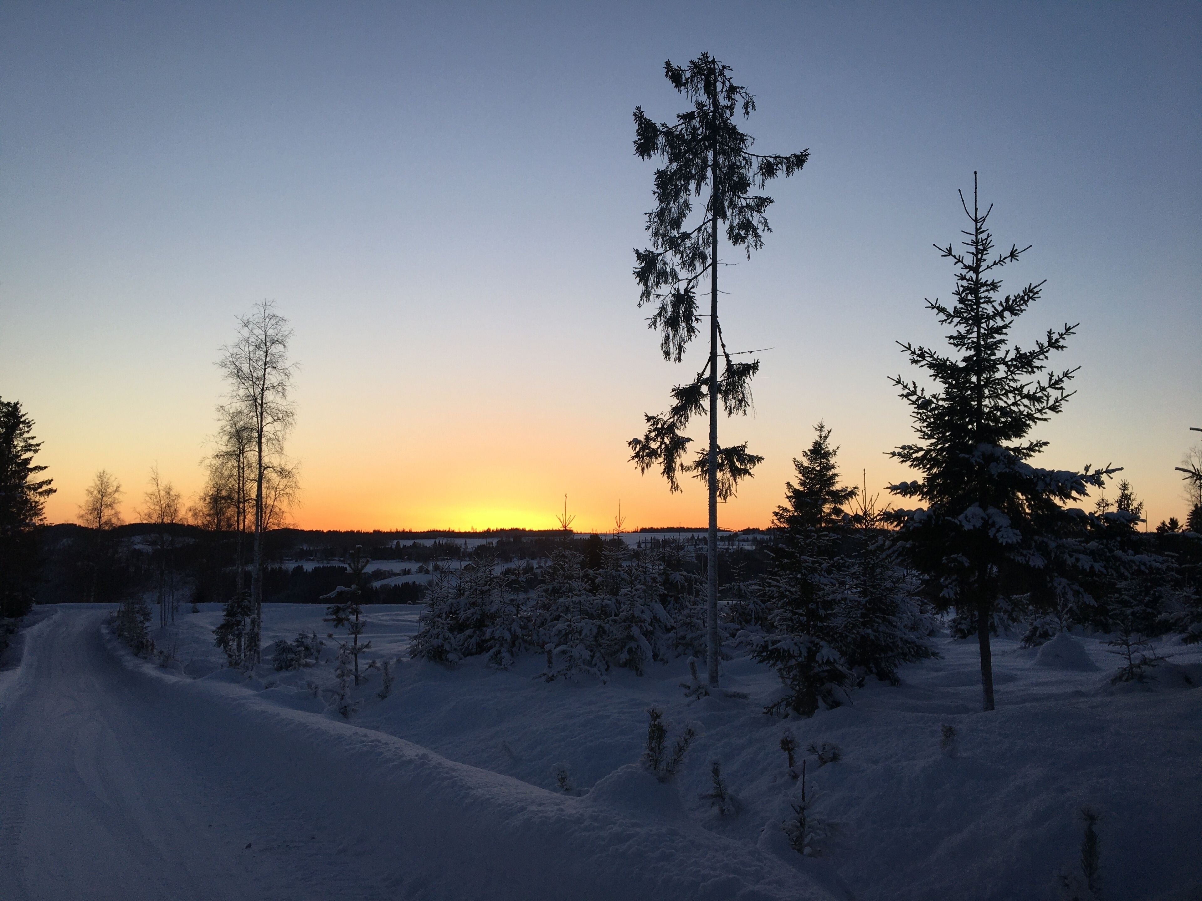 Un paysage enneigé avec des arbres et un ciel dégagé.