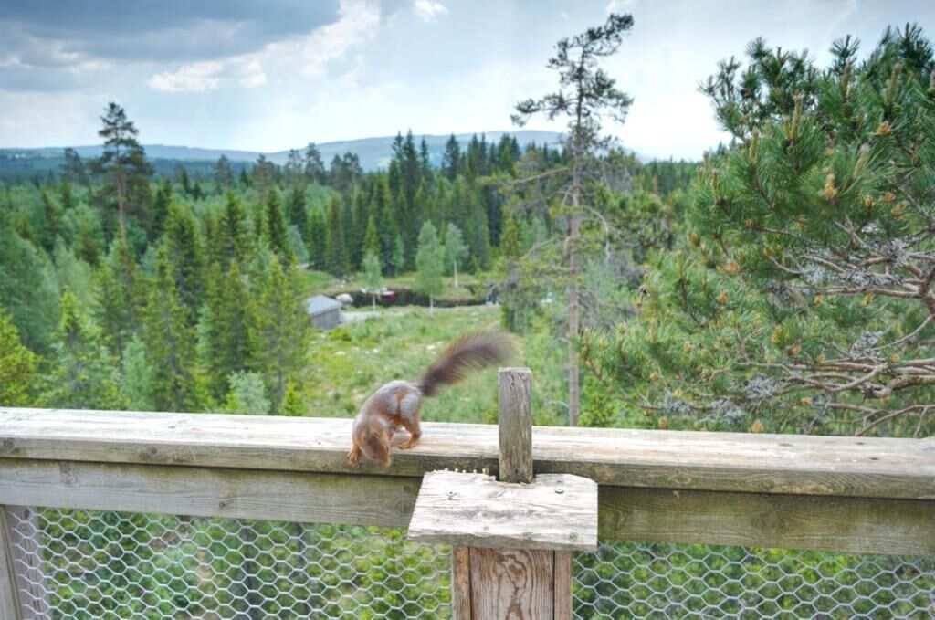 Deluxe Tree House, Overwater | View from room