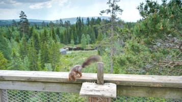 Deluxe Tree House, Overwater | View from room