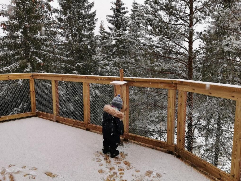 Deluxe Tree House, Overwater | Property grounds