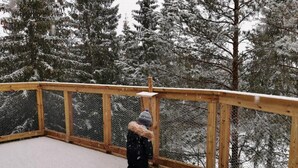 Deluxe Tree House, Overwater | Property grounds - Faråsen Tretoppgård (Ringsaker)