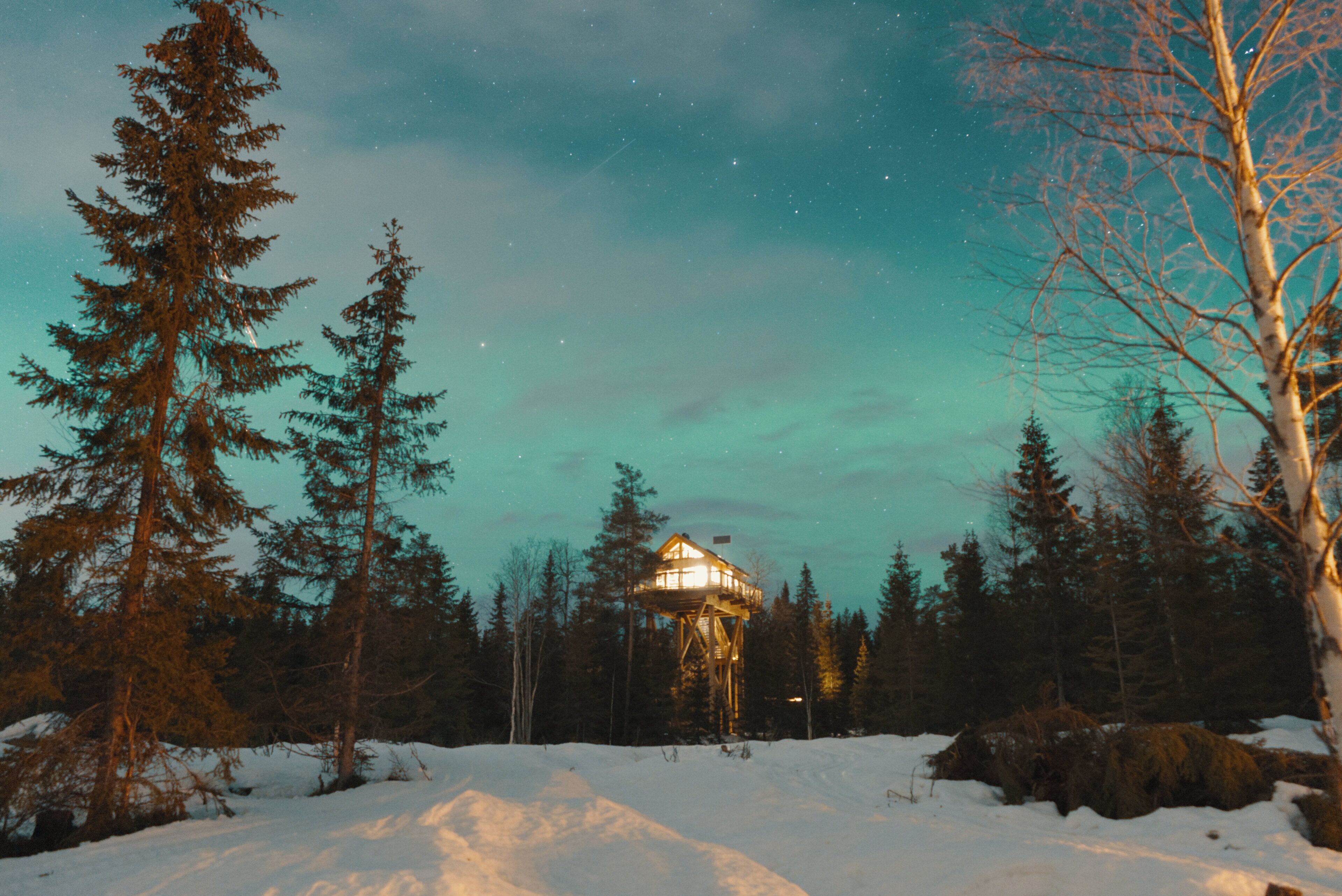 A snow-covered landscape with a wooden cabin structure surrounded by evergreen trees.
