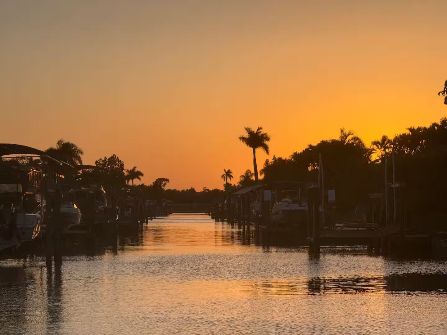 A waterfront area with boats docked along the water's edge, palm trees, and buildings with visible balconies.