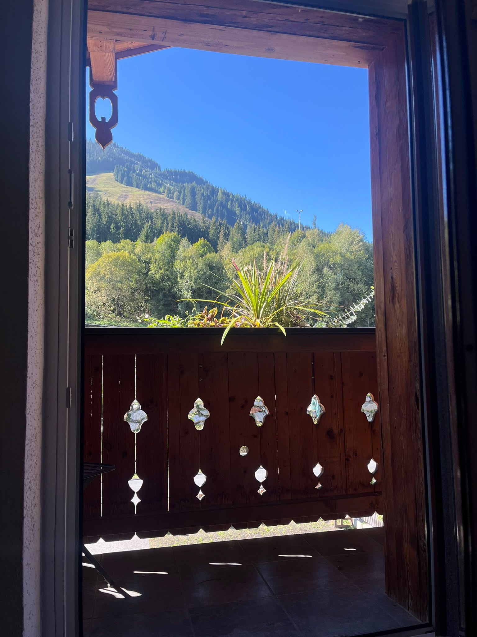 Une porte en bois donnant sur une colline boisée.