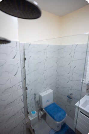 Douche, serviettes fournies, savon, papier de toilette