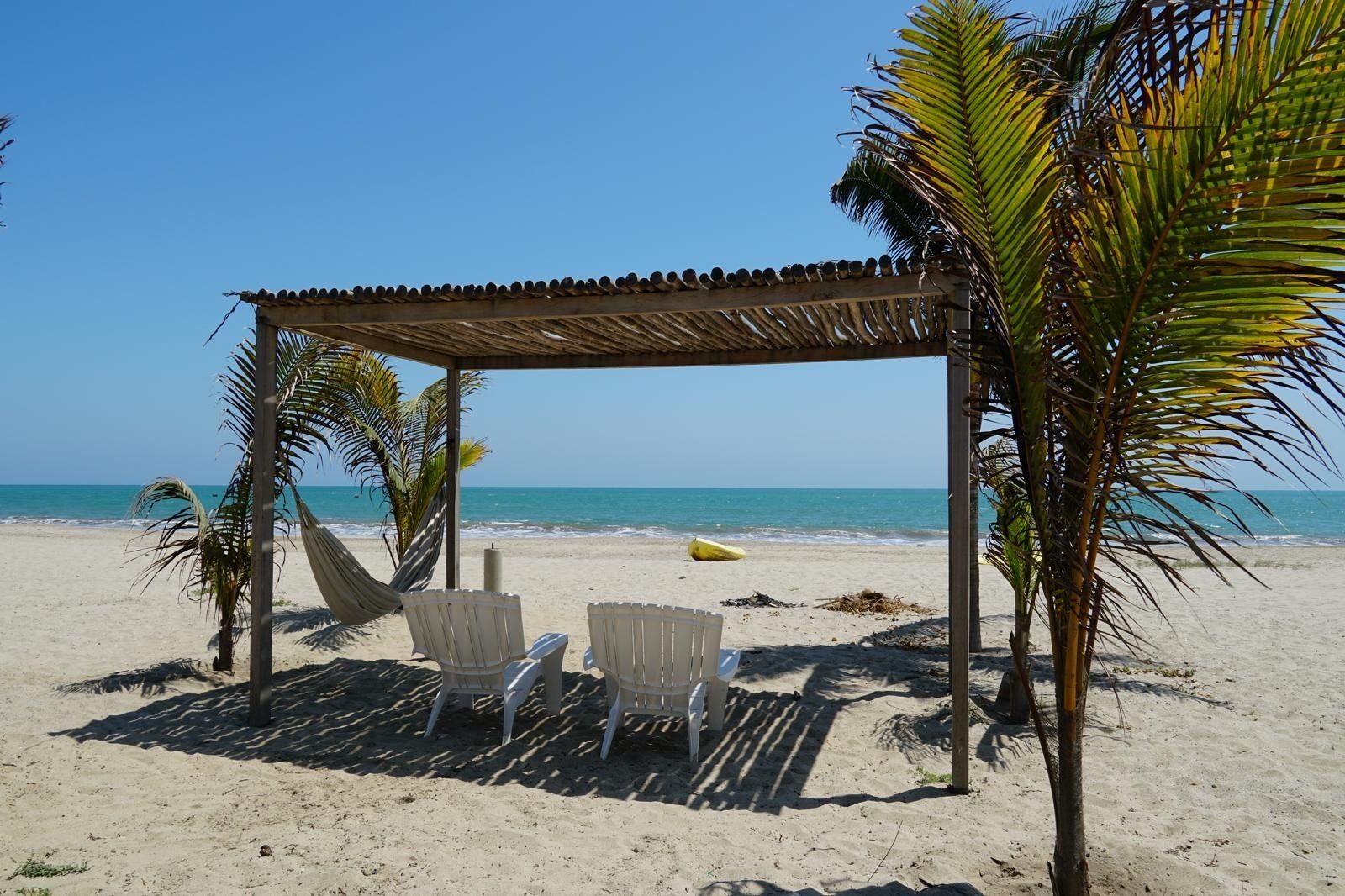 Une scène de plage avec une structure surmontée d’un toit de chaume, deux chaises blanches et des palmiers.