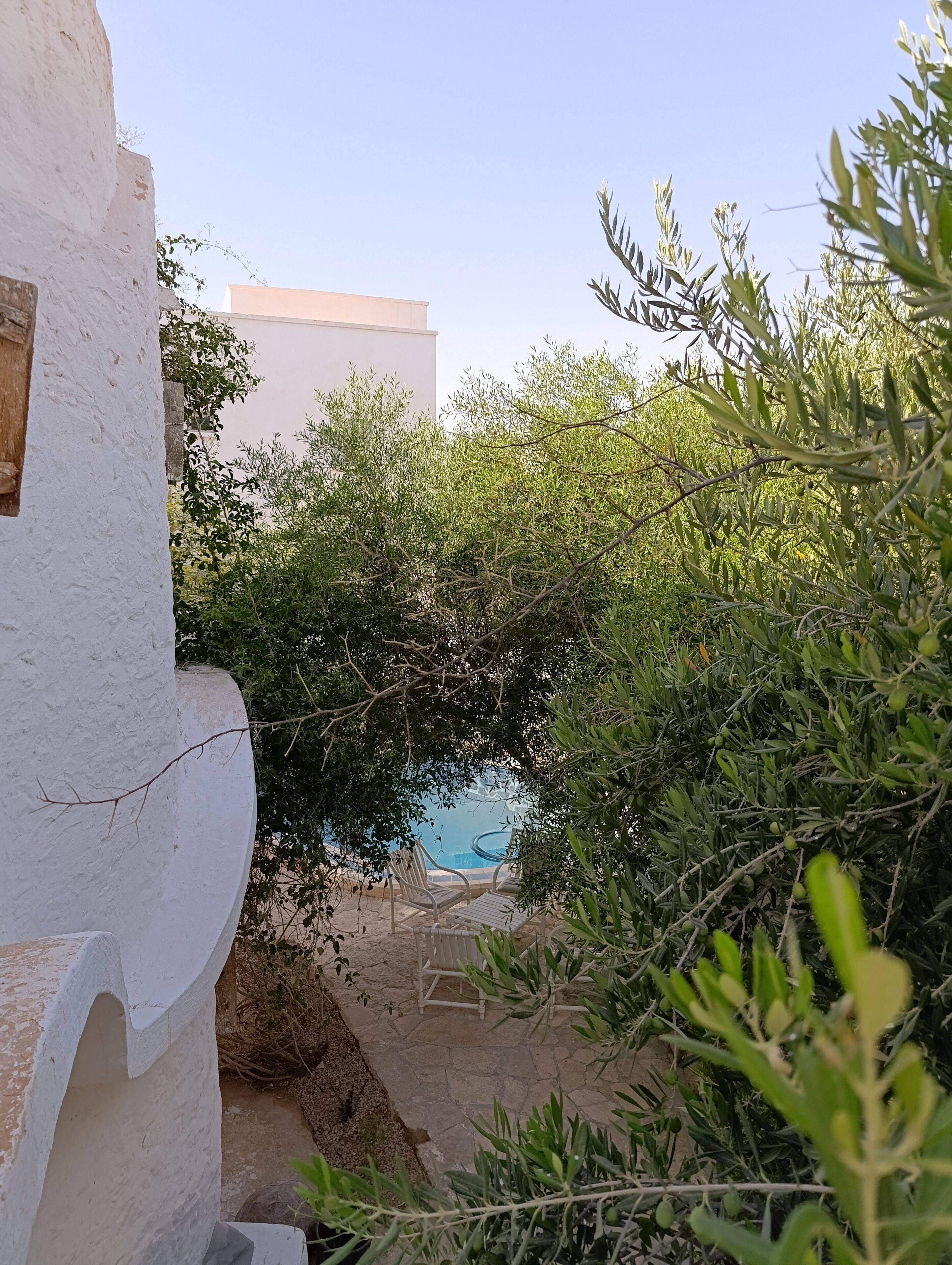 Ein Poolbereich mit einem weißen Gebäude im Hintergrund, umgeben von viel Grün.