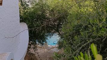 Ein Poolbereich mit einem weißen Gebäude im Hintergrund, umgeben von viel Grün.