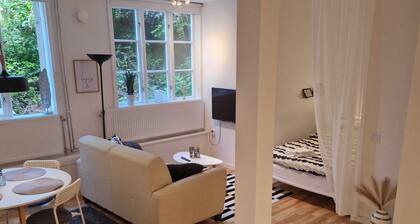 Central City Apartment C