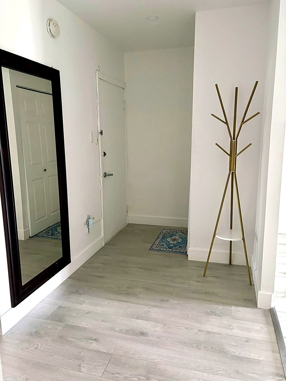 A hallway with a white door, a mirror, and a floor lamp.