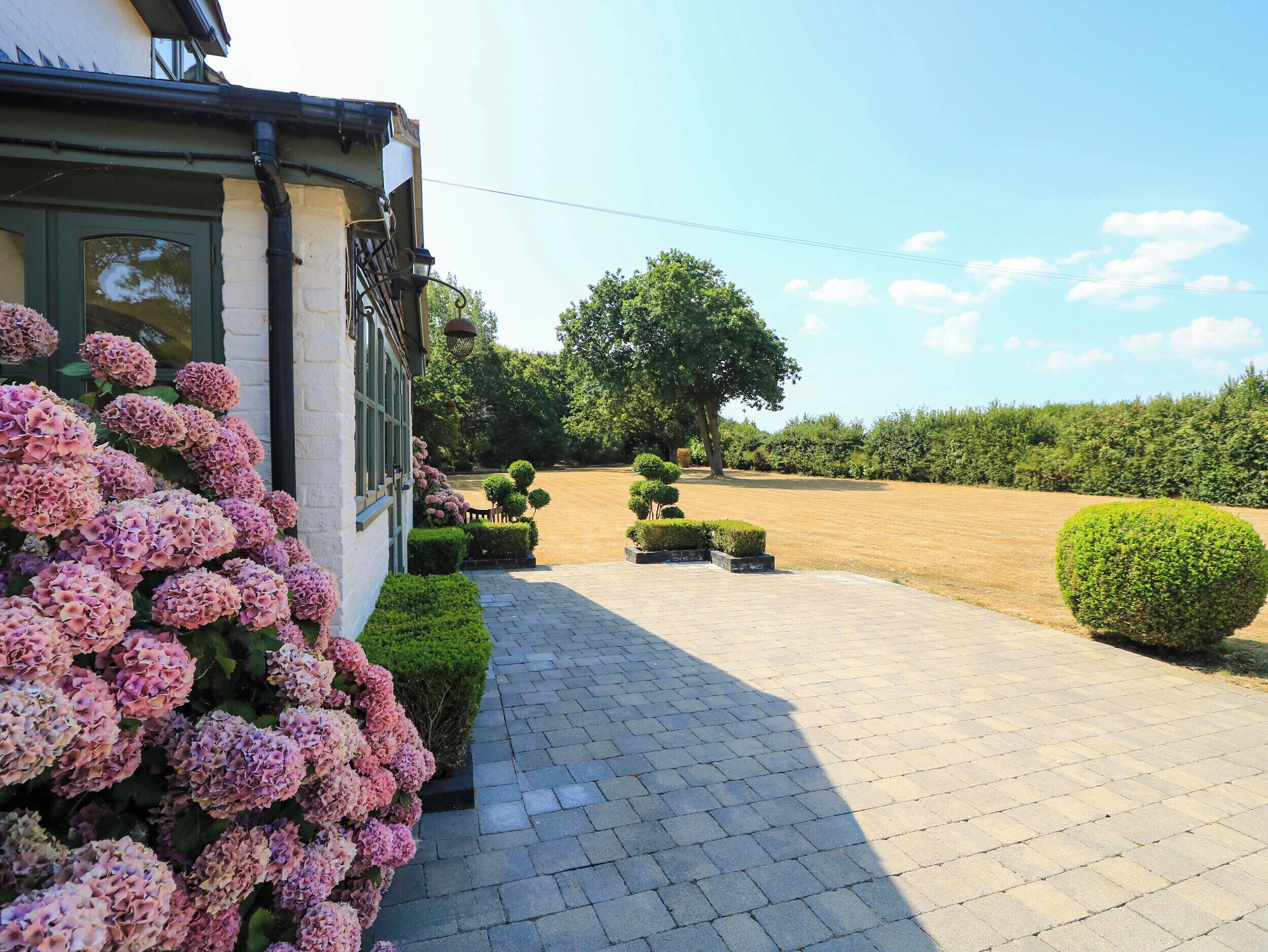 A paved driveway leading to a building with a green door, surrounded by well-maintained hedges and flowering plants.