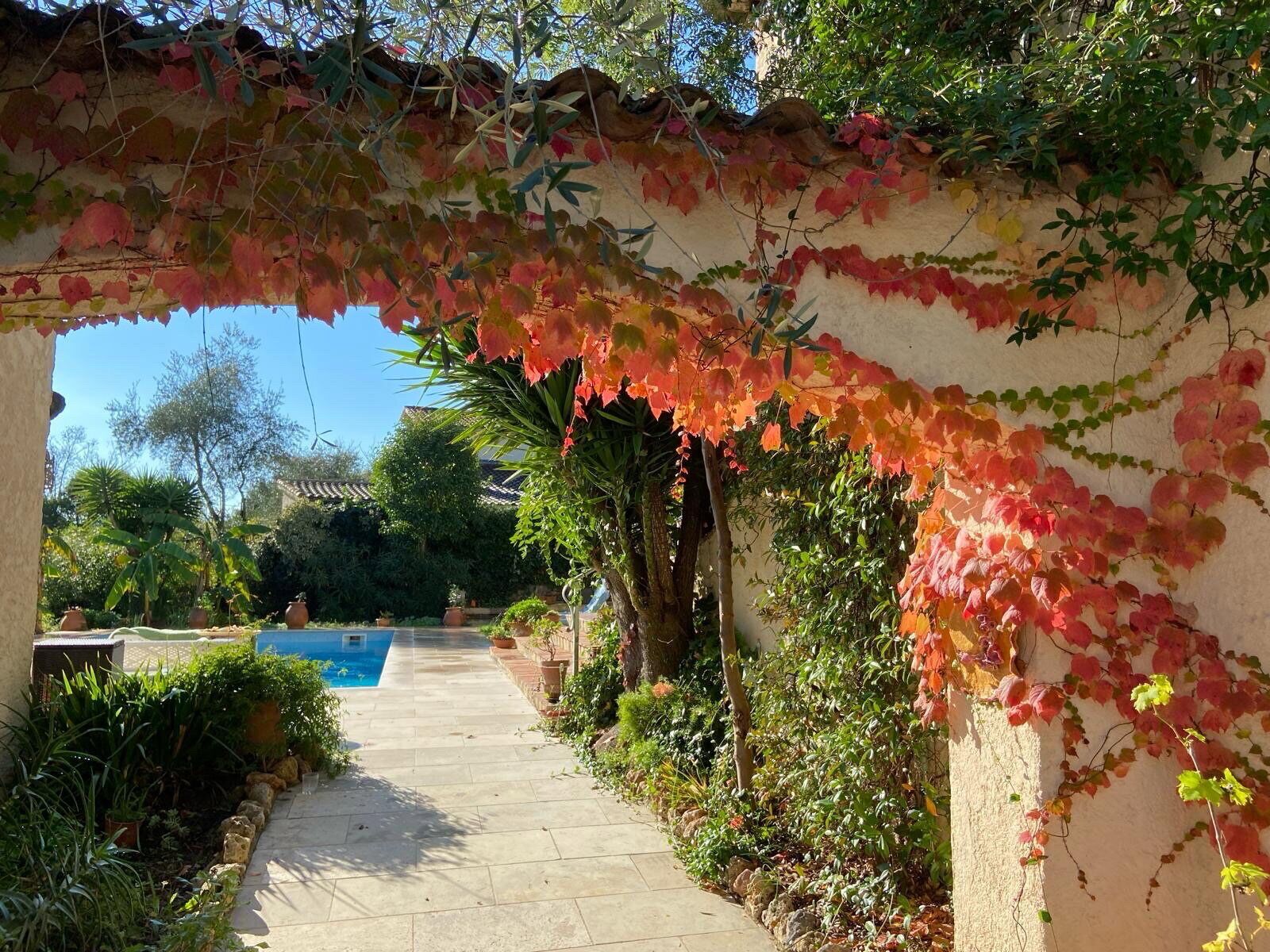 A pathway leading to a pool with a pergola covered in ivy.