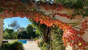 Un vialetto conduce a una piscina con un pergolato ricoperto d'edera.