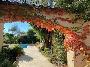 A pathway leading to a pool with a pergola covered in ivy. - L'Absolu Azur : Bulle de Calme & Piscine (Grasse)