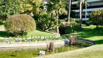 Jardín ajardinado con un estanque, palmeras y una variedad de arbustos.