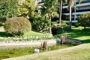 Ein angelegter Garten mit Teich, Palmen und verschiedenen Sträuchern.