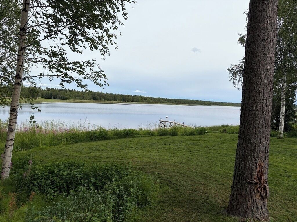 A grassy area with a lake and trees.