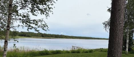 A grassy area with a lake and trees.