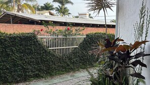 A courtyard with a gravel path, a metal gate, and various plants.