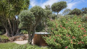 A garden with various plants and a wooden structure.