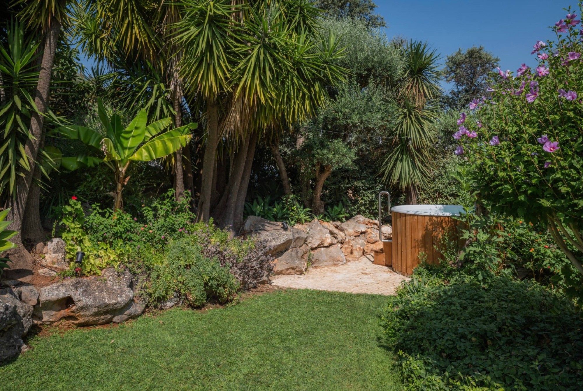 A garden with a variety of plants, a rock formation, and a wooden structure.