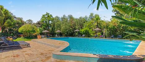 A swimming pool with a tiled edge, surrounded by lounge chairs and umbrellas, set in a landscaped garden with various plants and trees.