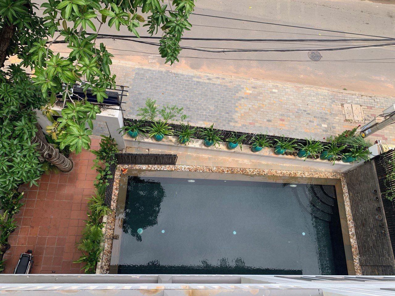 A rooftop swimming pool with surrounding greenery, a brick pathway, and a parked car.