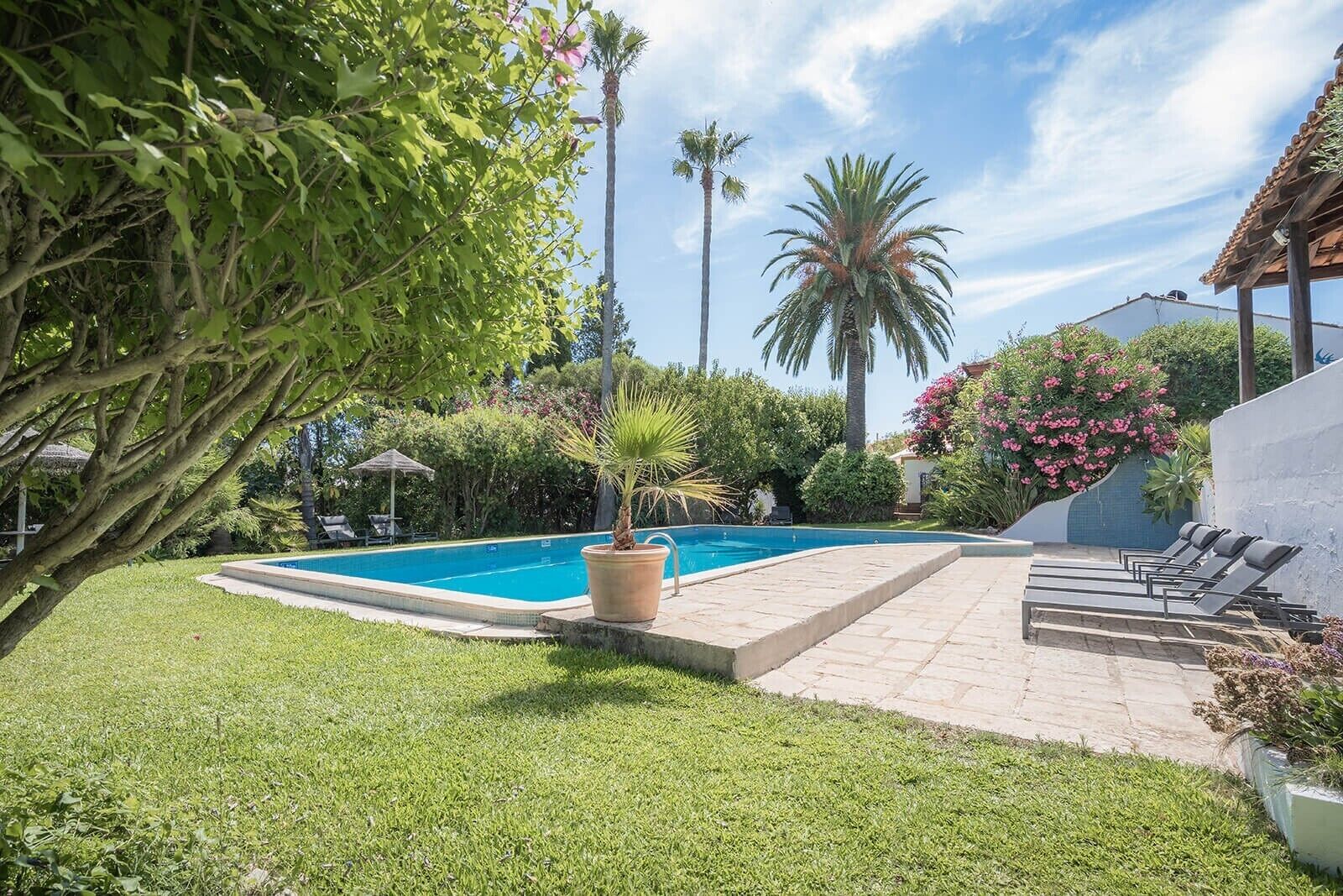 A swimming pool with a tiled deck, surrounded by lush greenery and palm trees.