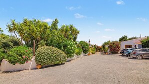 A gravel parking area with a row of parked cars, a white building with a red-tiled roof, and lush greenery including palm trees and flowering plants.
